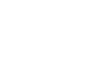 royal-bau-expert-logo-white-original